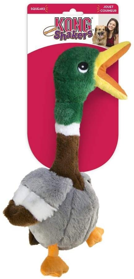KONG Honkers Shakers Large Duck Dog Toy – My Pets Me