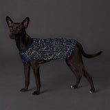 Hunter Finja Dark Blue Dog Pullover
