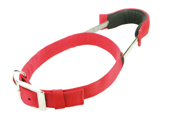 Patento best sale pet harness