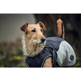 Grey Uppsala Cozy Dog Coat