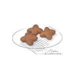 Royal Canin Mini Adult Dog Food 8kg