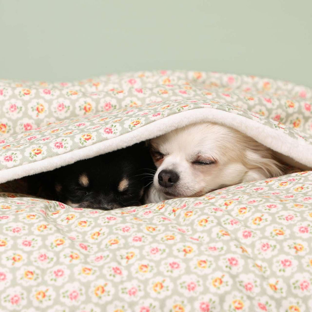 Cath kidston dog blanket discount